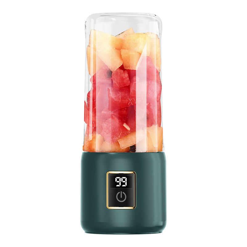 Household Juicer - Compact Size