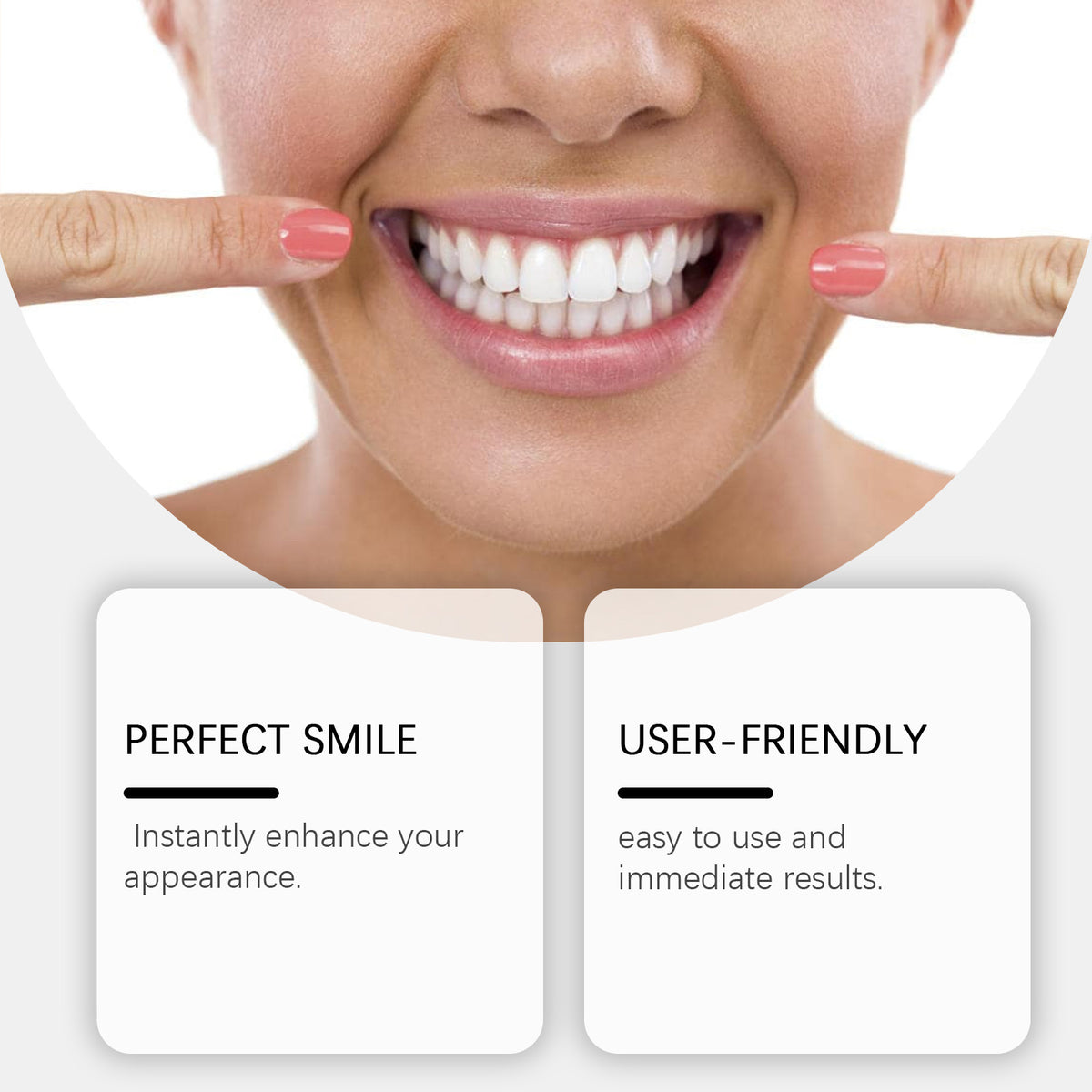 Dental prosthesis accessory set